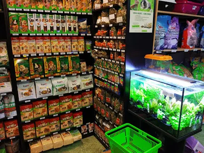 SKLEP ZOOLOGICZNY LEGWAN